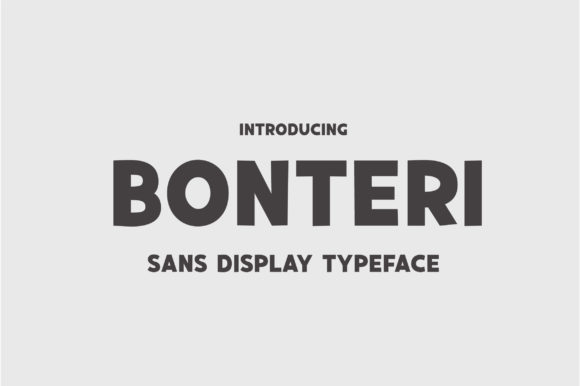 Bonteri: A Bold Display Font for Web Projects