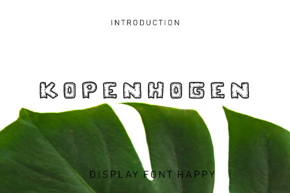 Kopenhogen Display Font for Editorial Design