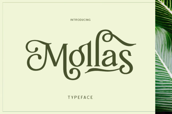 Mollas Font for Vintage-Inspired Branding